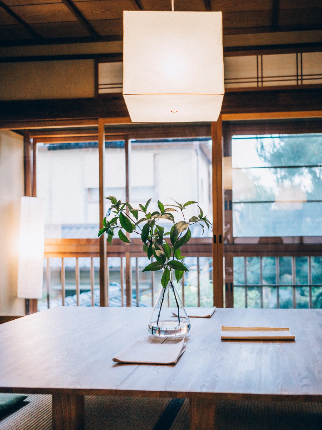 20190514_1045.jpg
