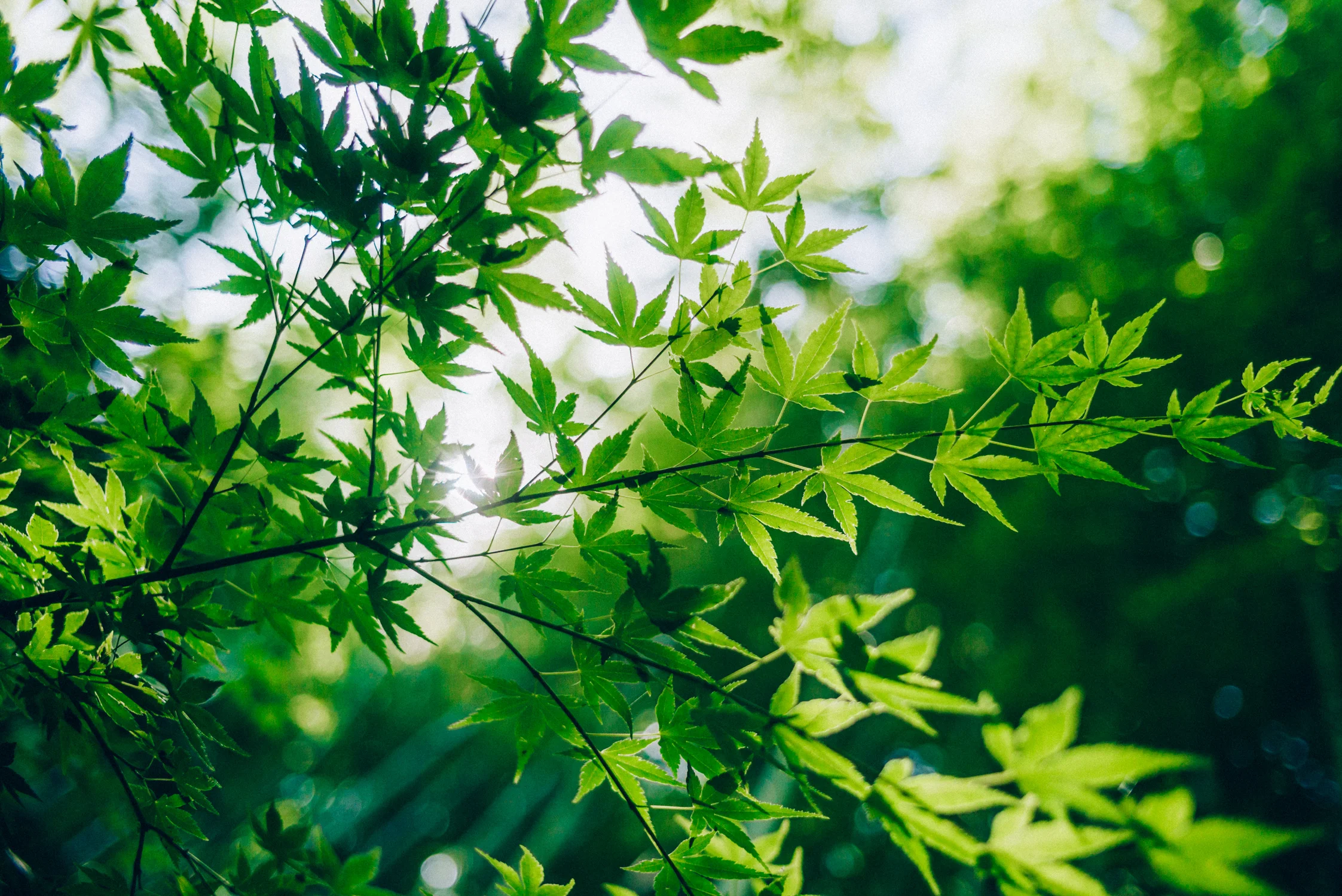 20190514_1140.jpg