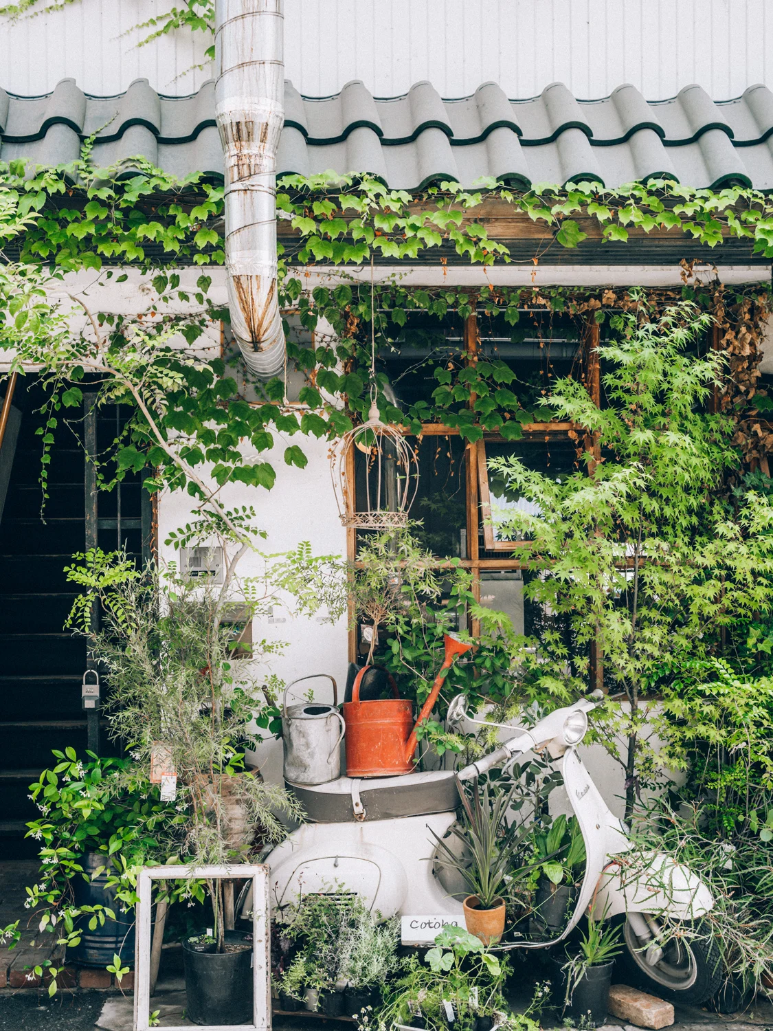 20190514_1314.jpg