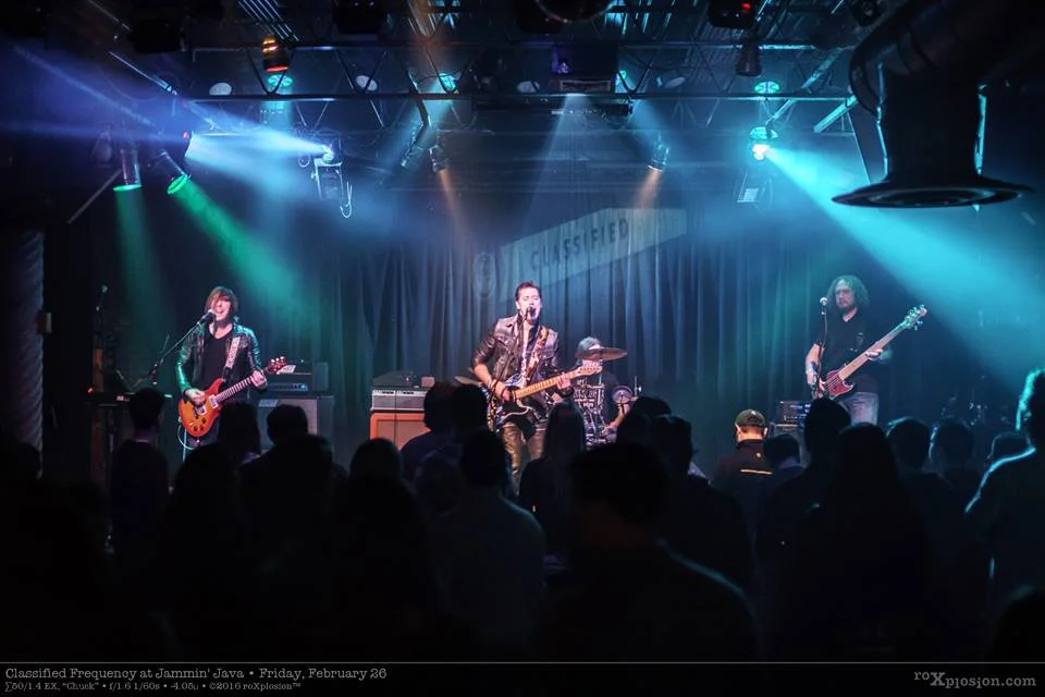 The Musical Webb August Artist Spotlight