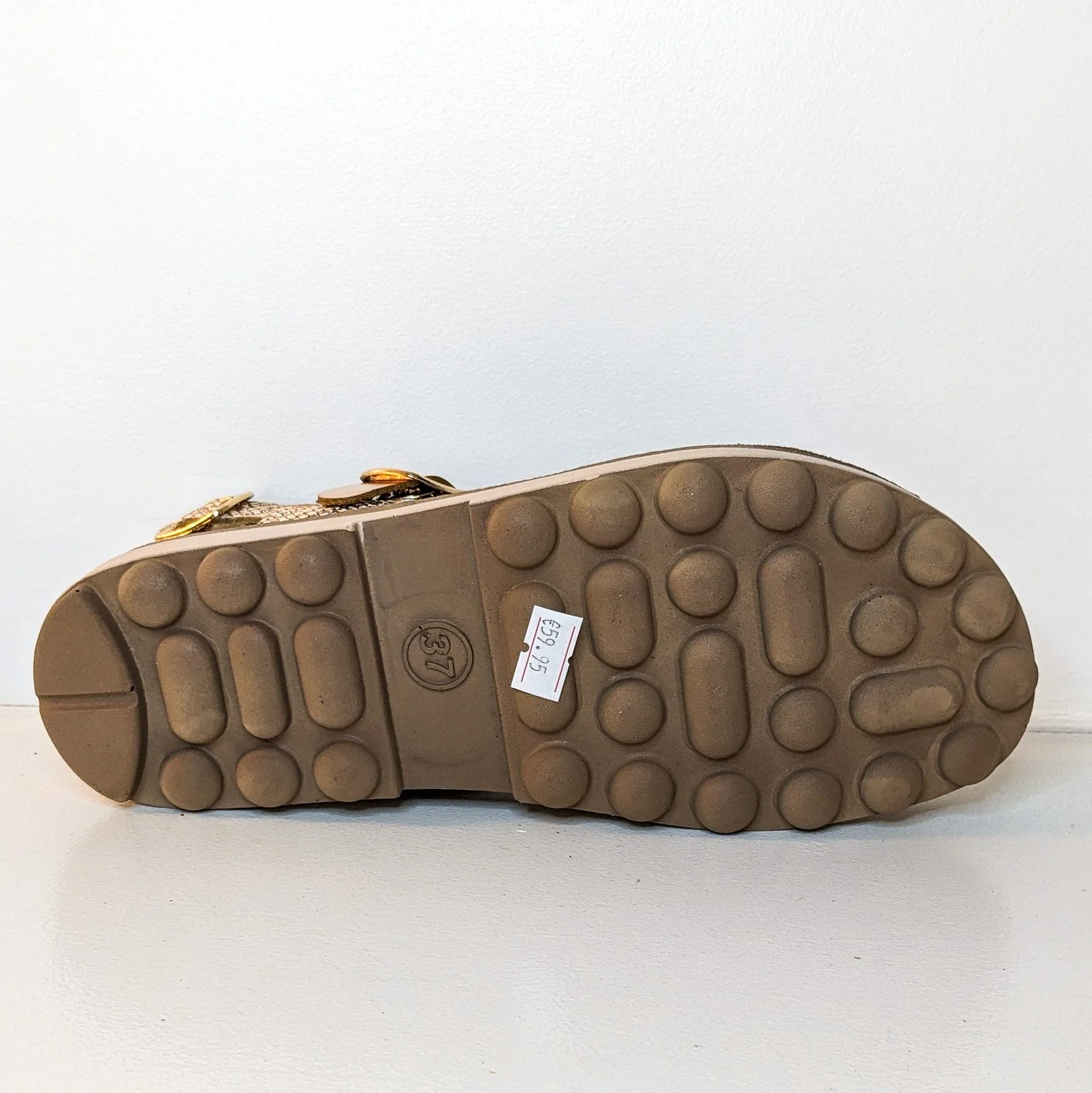locust 2024 ph2-055016907.jpg