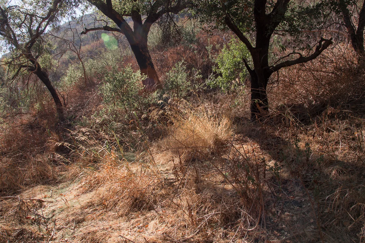 Solstice Canyon, Malibu CA  