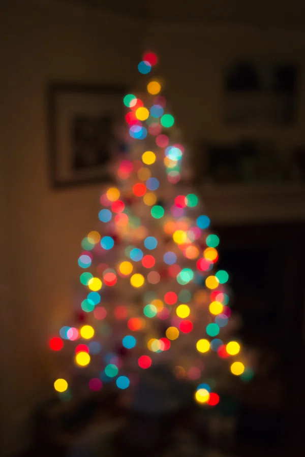 Christmas, Los Angeles, 2012