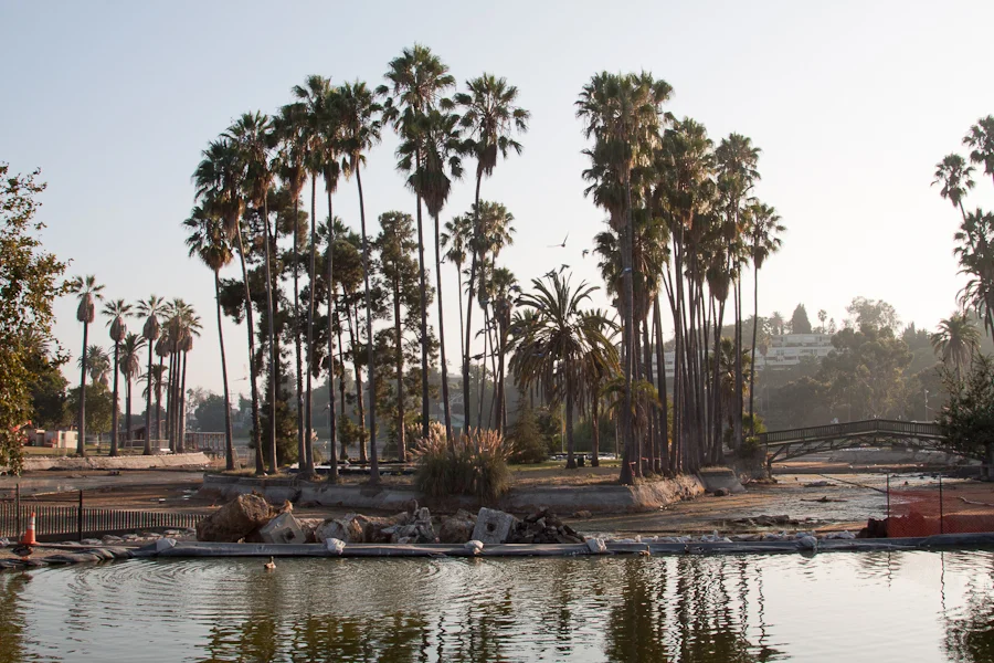 The Island in echo park lake