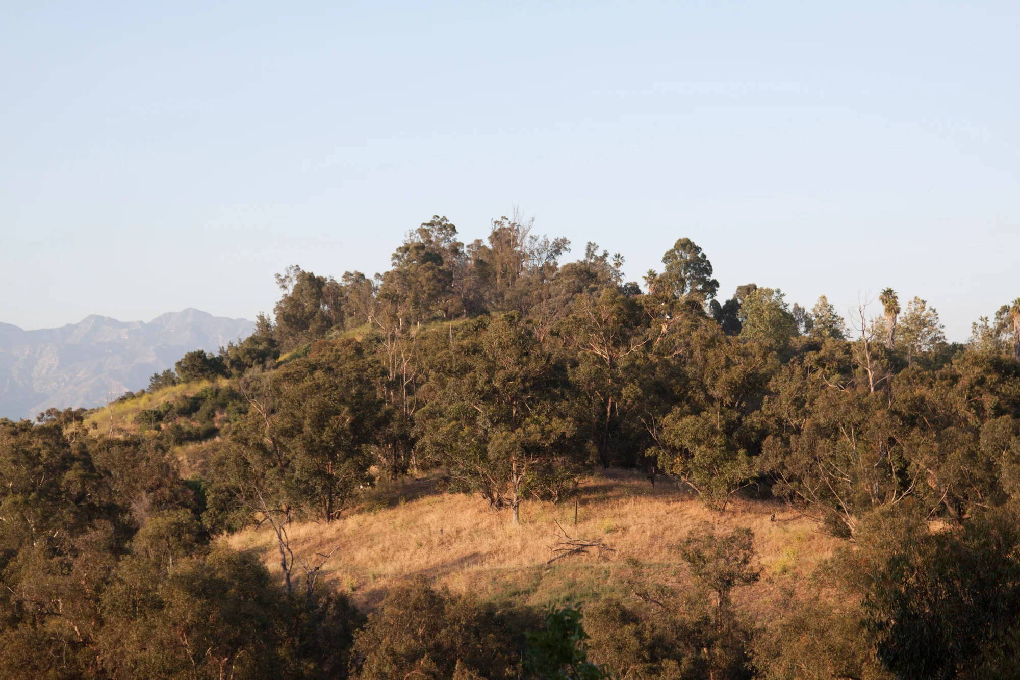_MG_6155.jpg