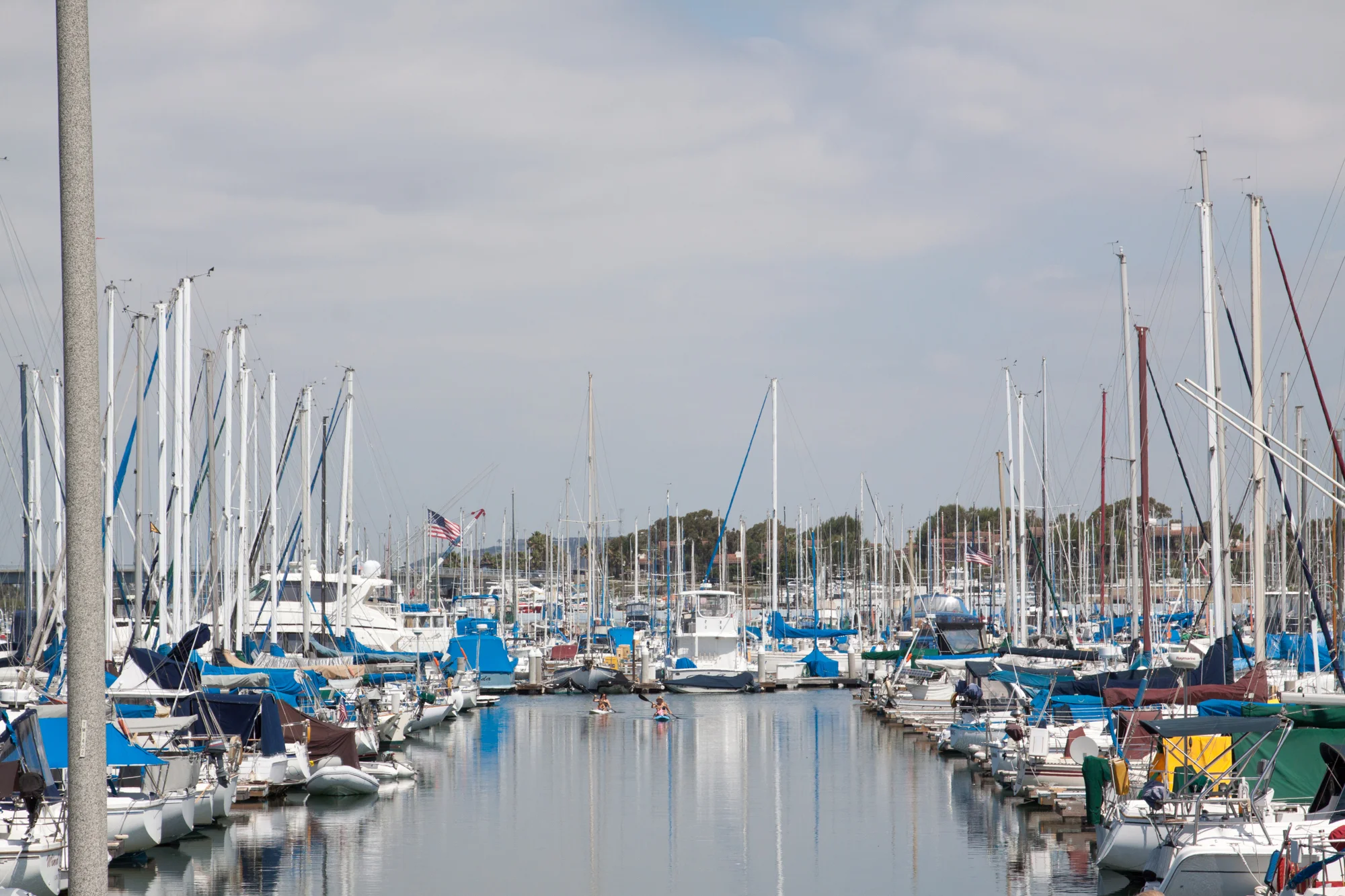 _MG_6977.jpg