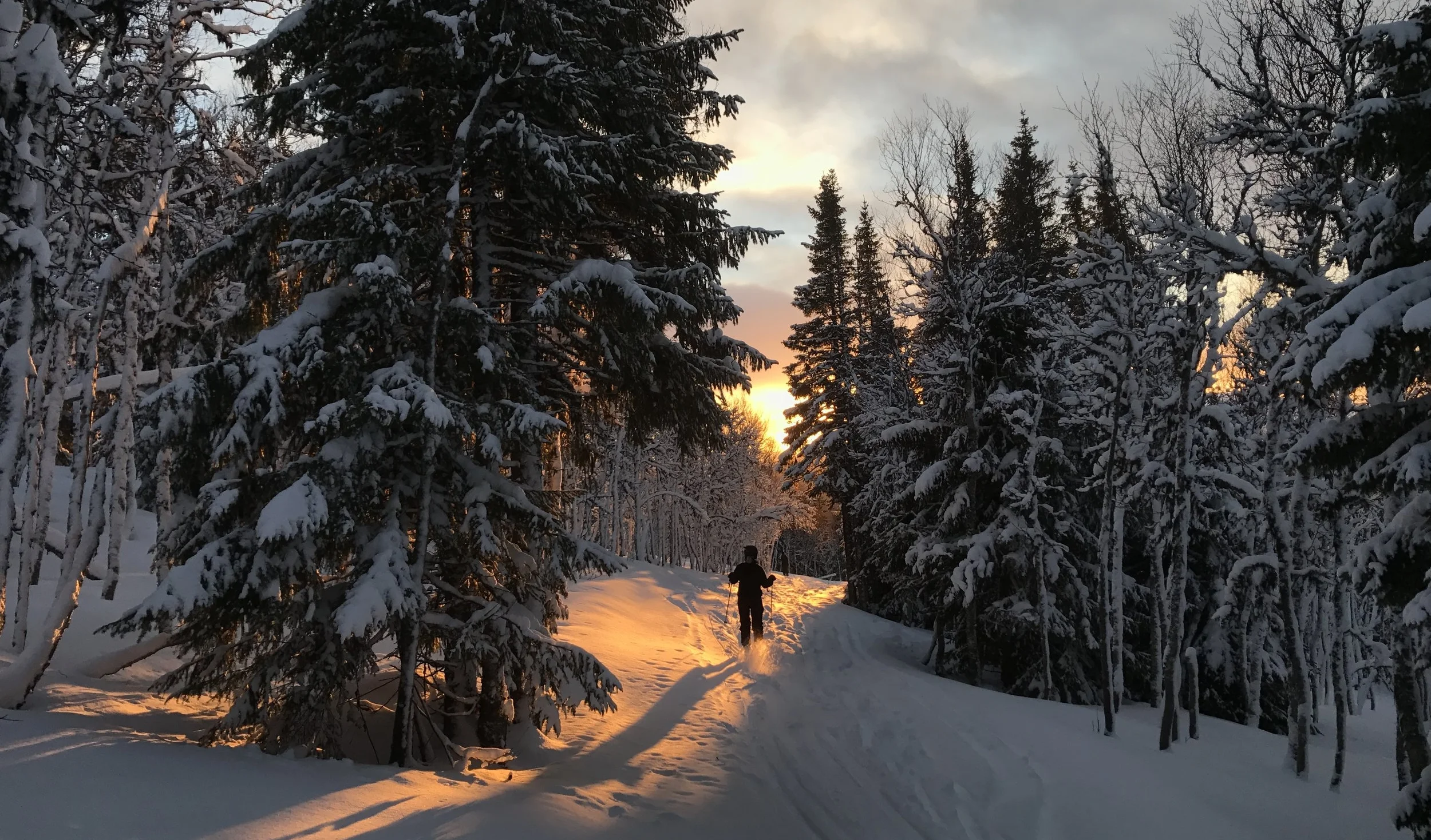 För vad kan vara bättre än att...skida i ospårad snö mot skogsbrynet; bort i gryningen?