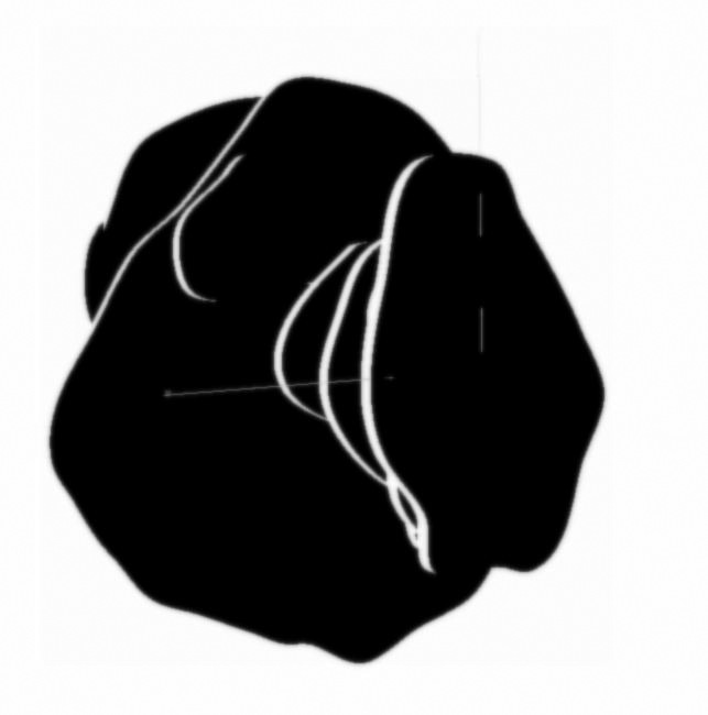 10-EJ marks early image consistent orientationINvert.jpg