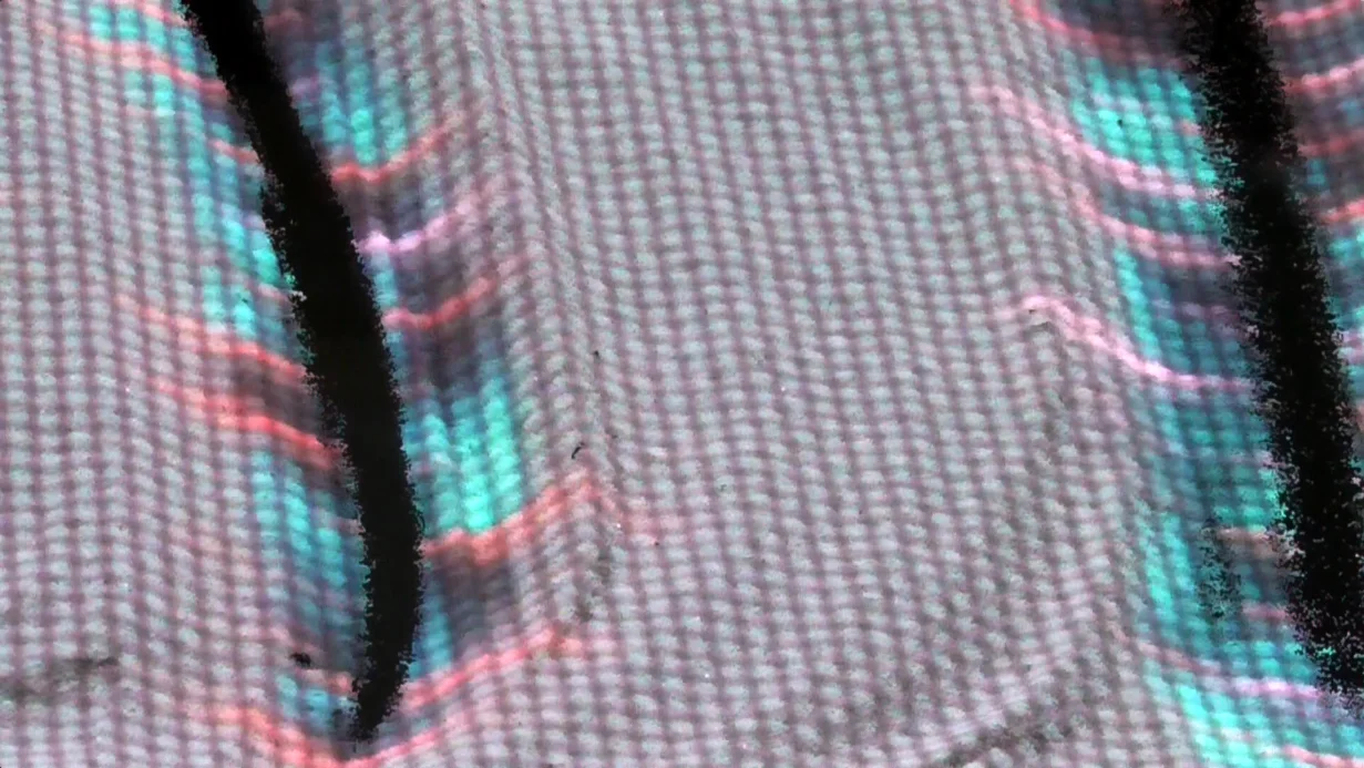 Screen Shot 2018-06-13 at 16.05.54 EDIT.jpg