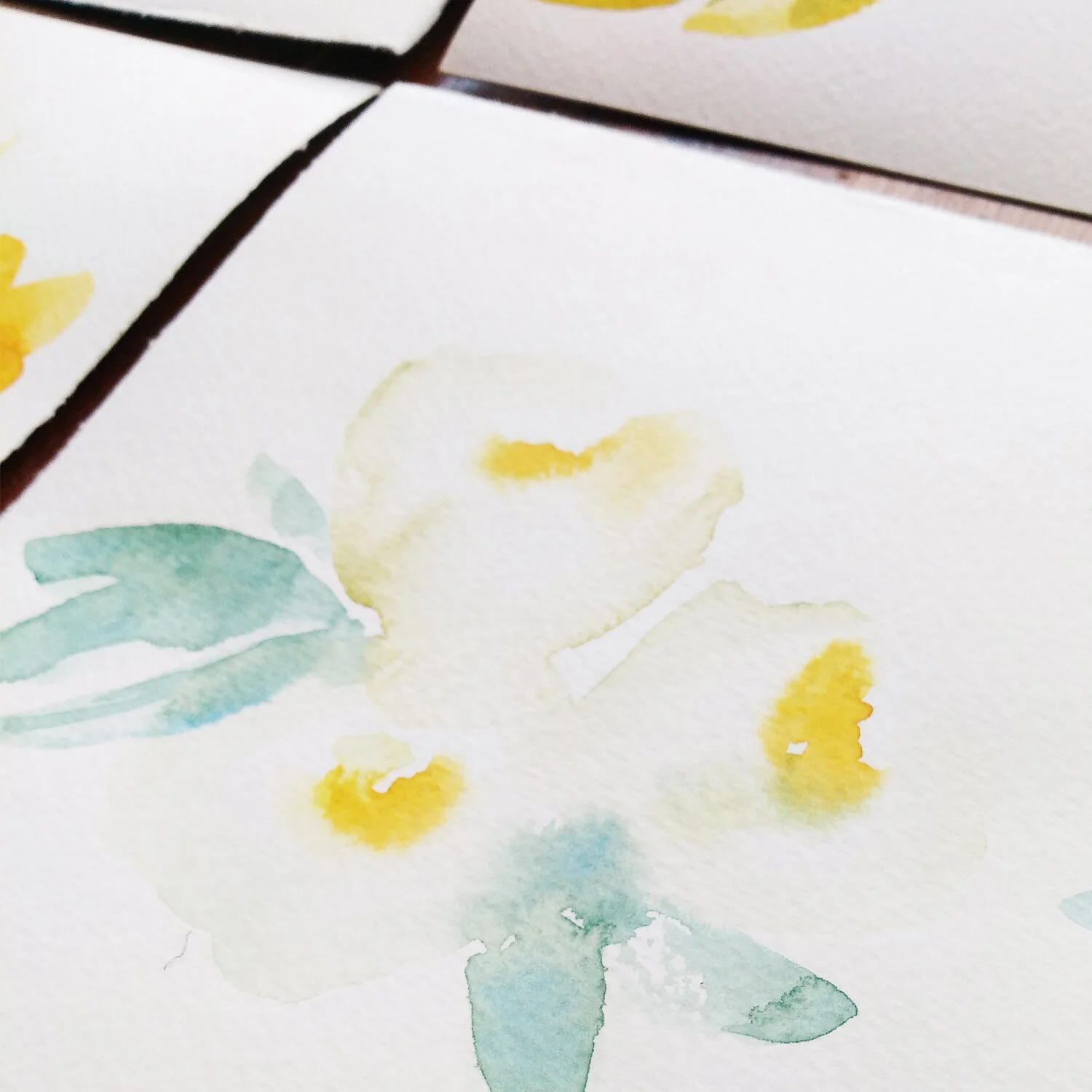 instagram-1500x1500-72dpi 6c.jpg