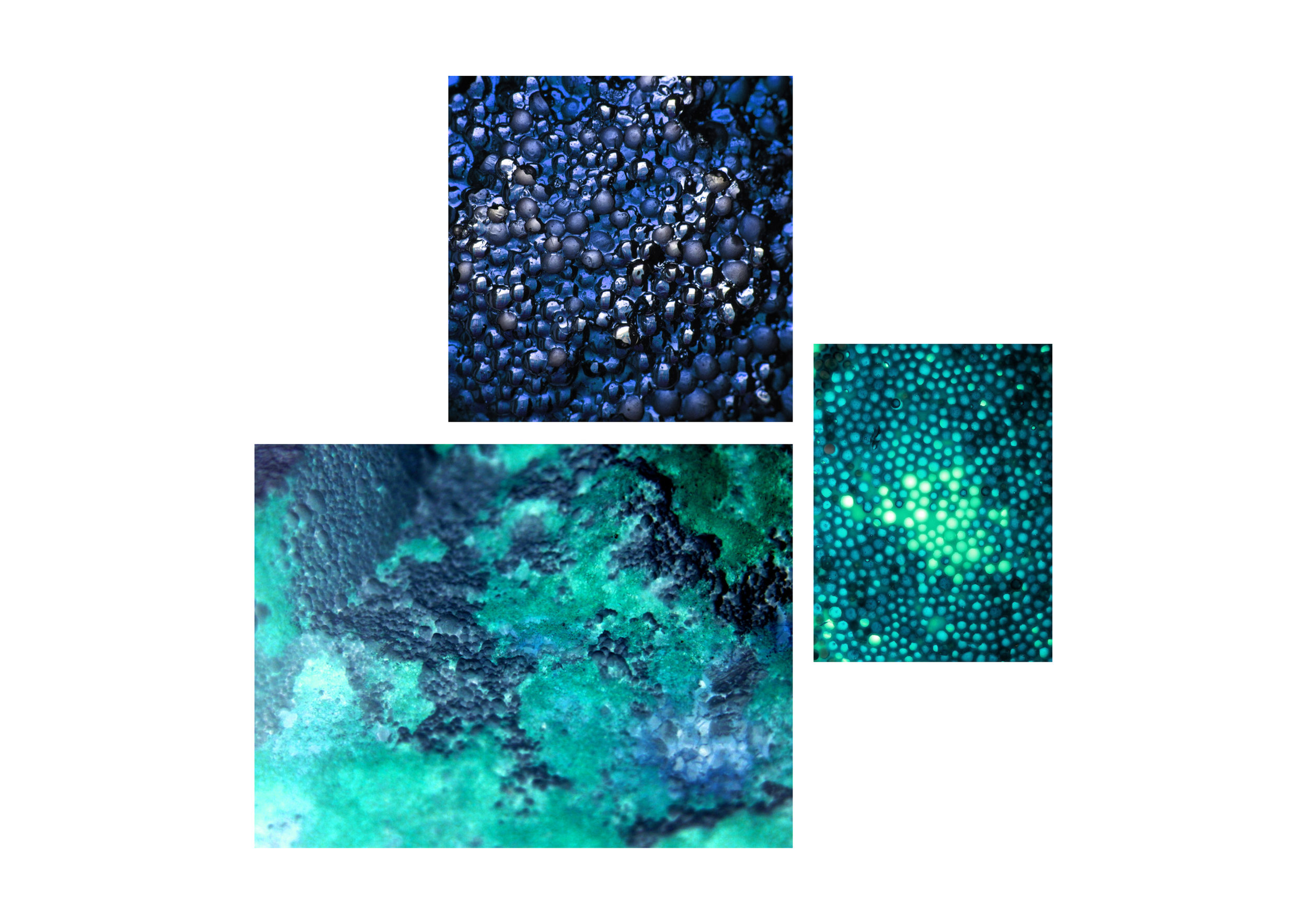 selectie-composities5.jpg