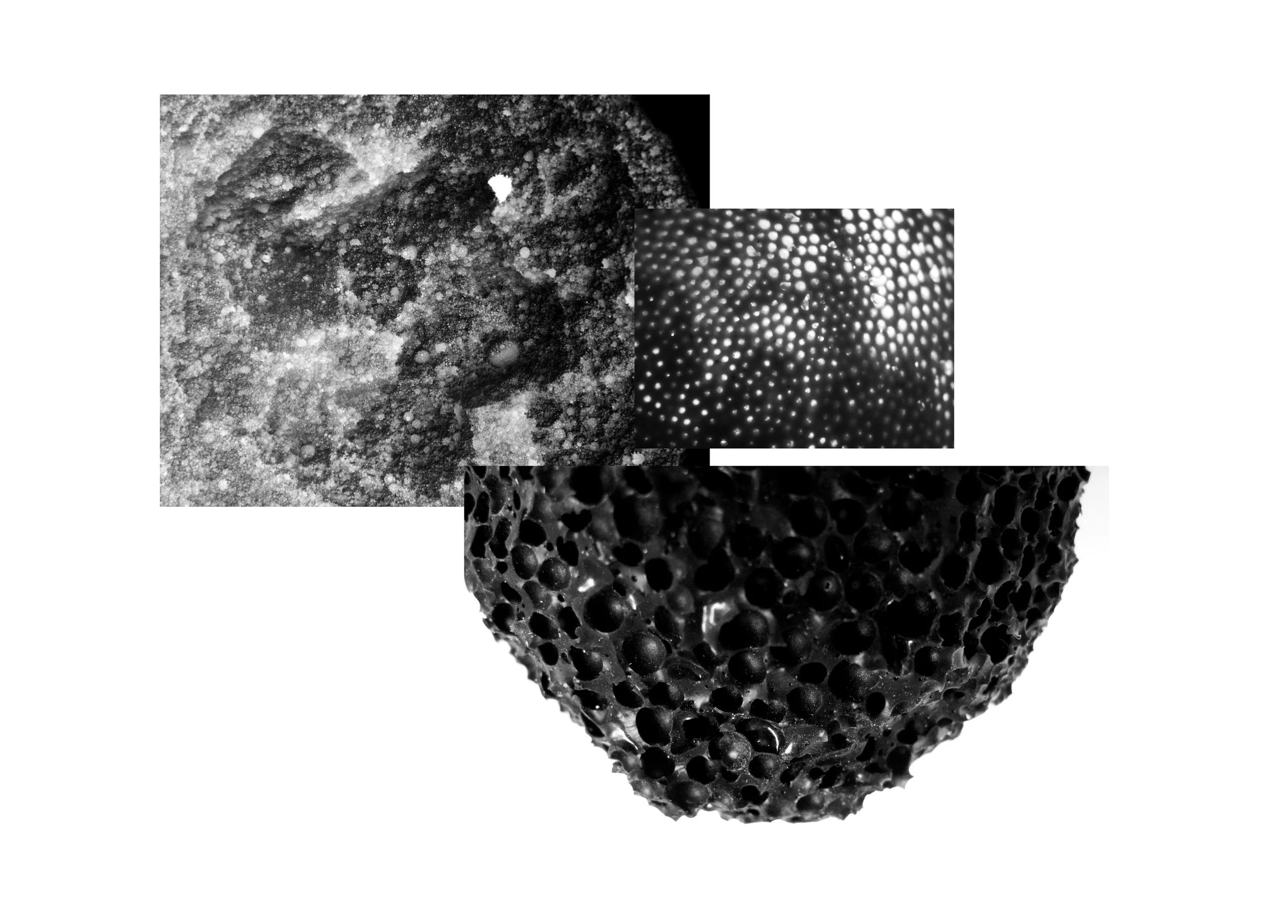 selectie-composities7.jpg