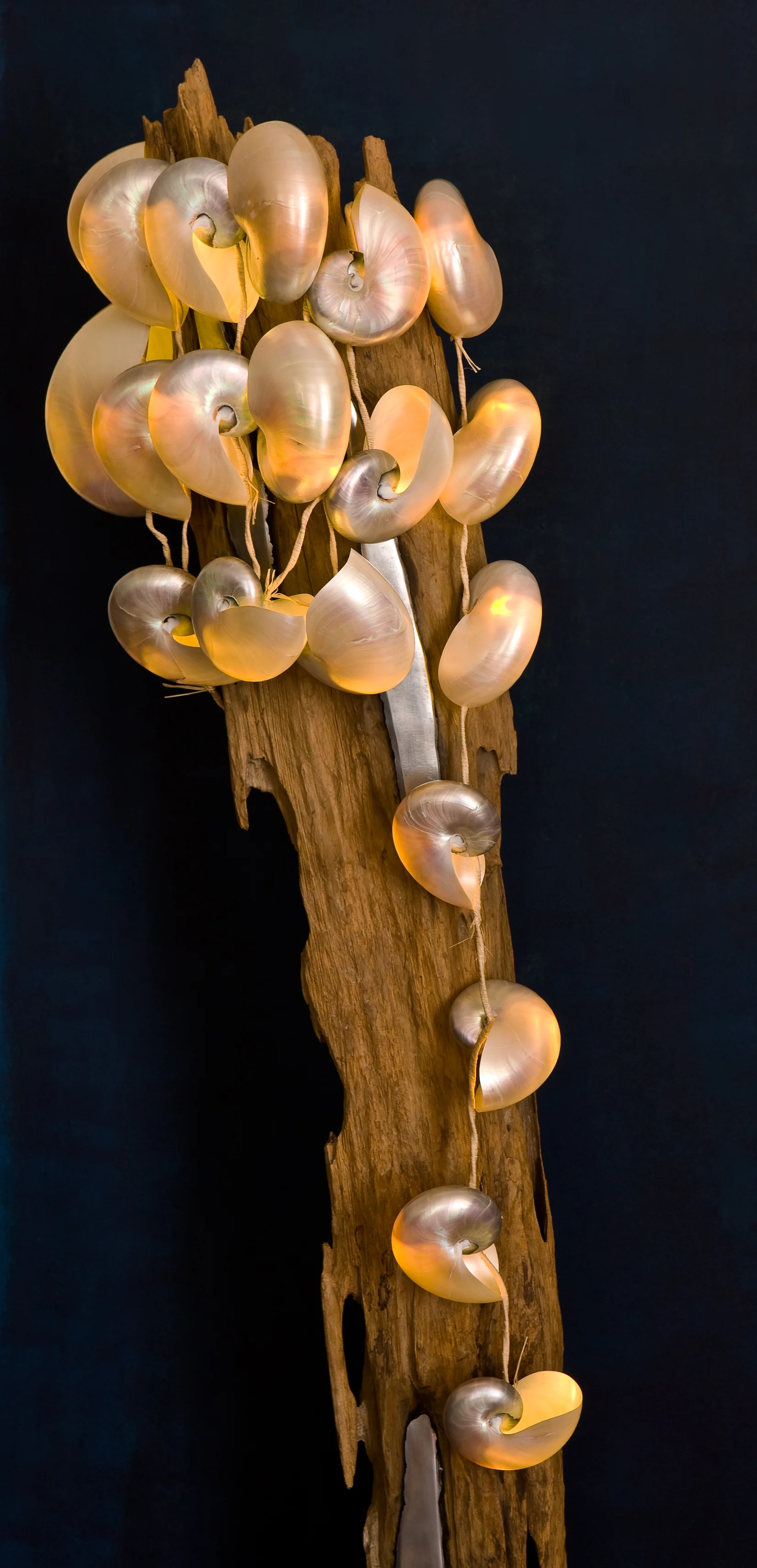 PARTHENIA, Le Secret de la Muse