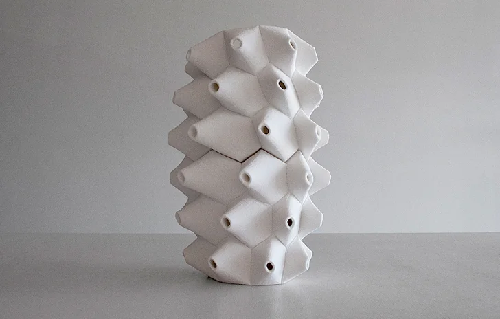 Textures et formes inspirés animaux animent l'évolution des conceptions de produits imprimés 3D