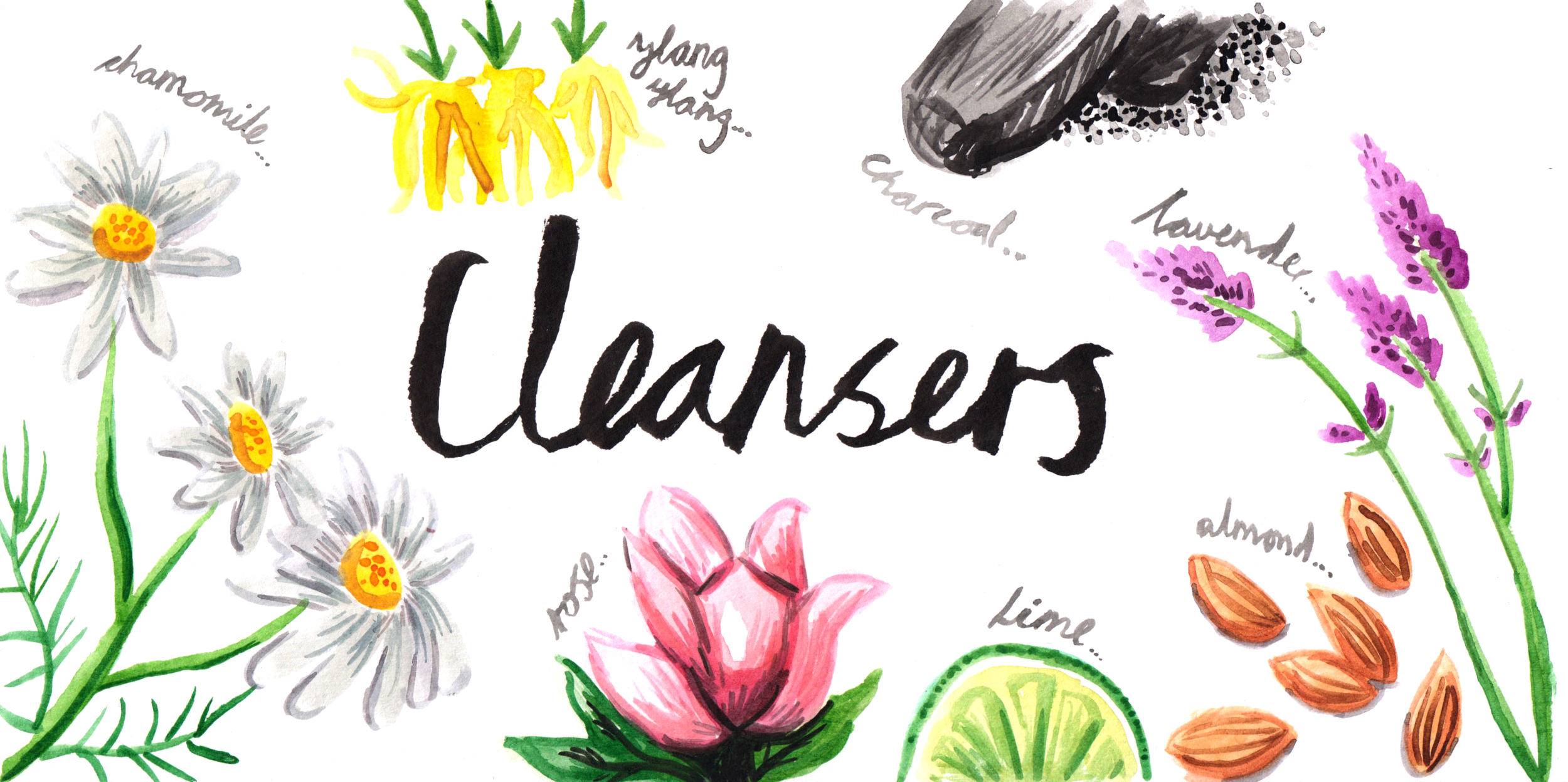 Cleansers.png