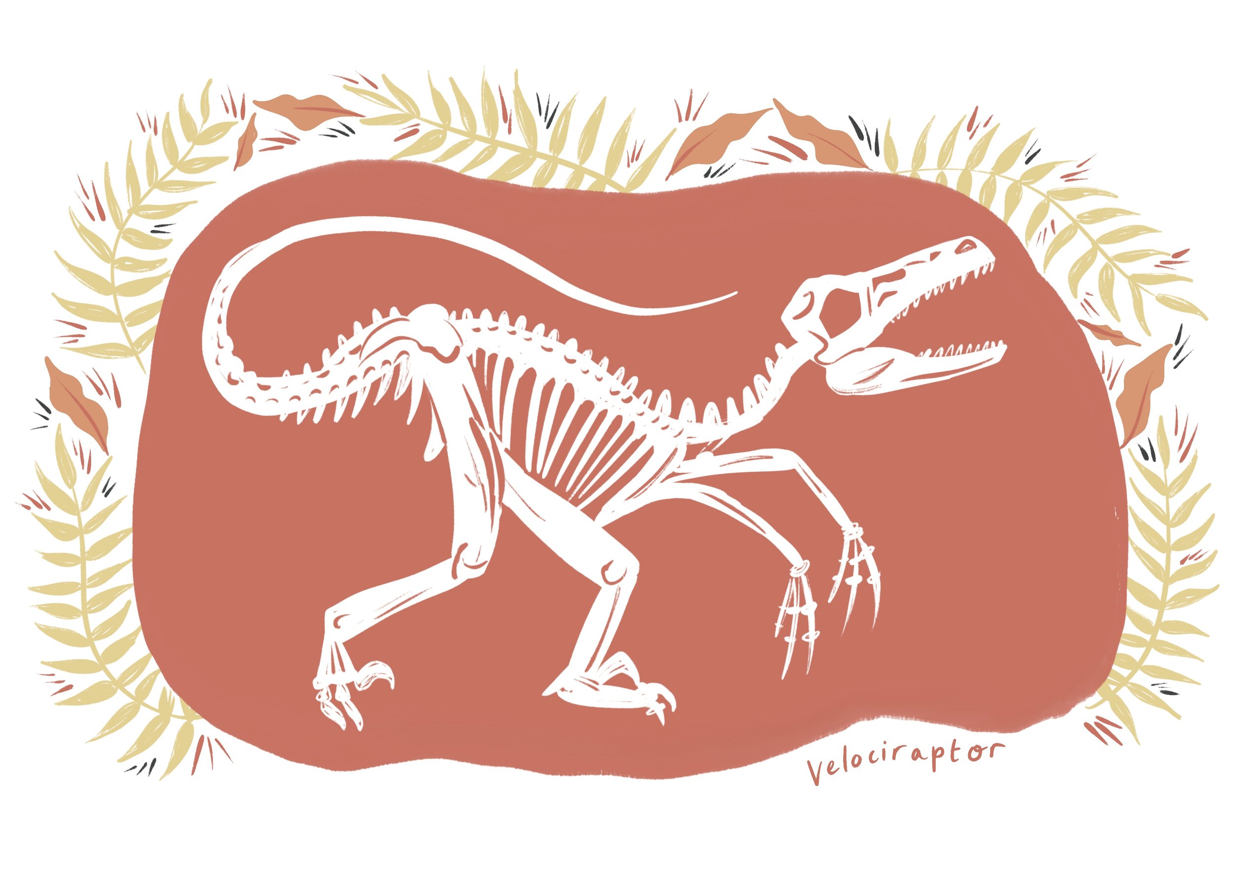 Velociraptor .jpg