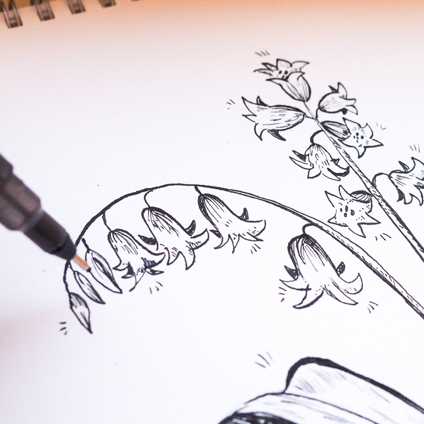 Drawing Techniques Hatching and CrossHatching — Amy Harwood