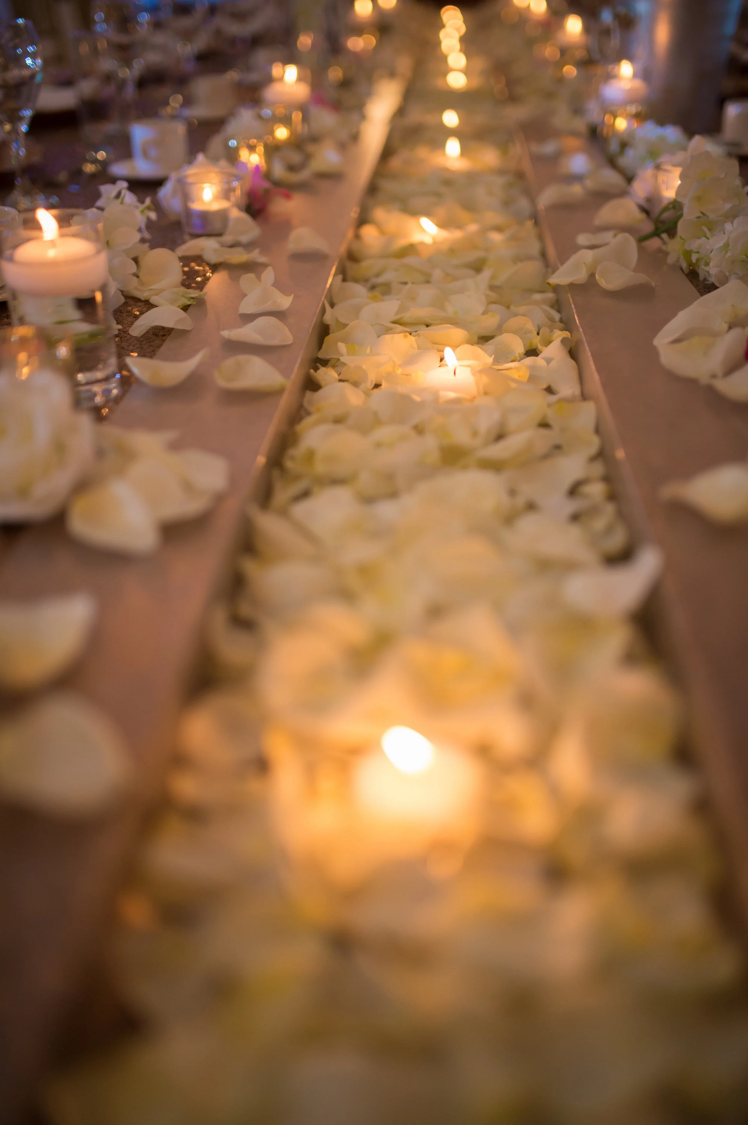 GS - Reception Party (63 of 791).jpg