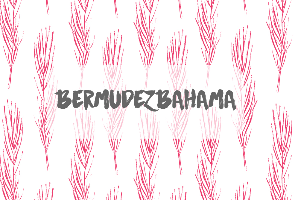 bermudezbahama-market-card_1.jpg