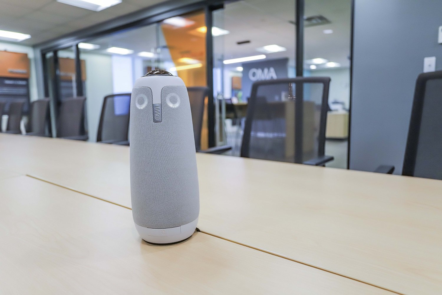 Owl at OMA.jpg
