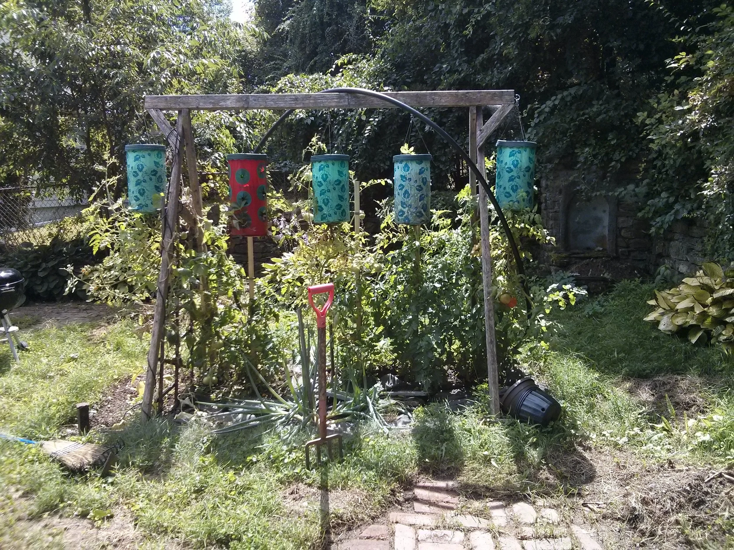Another part of your local food plan: your very own tiny garden!