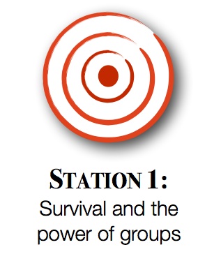 Station1graphic.jpg