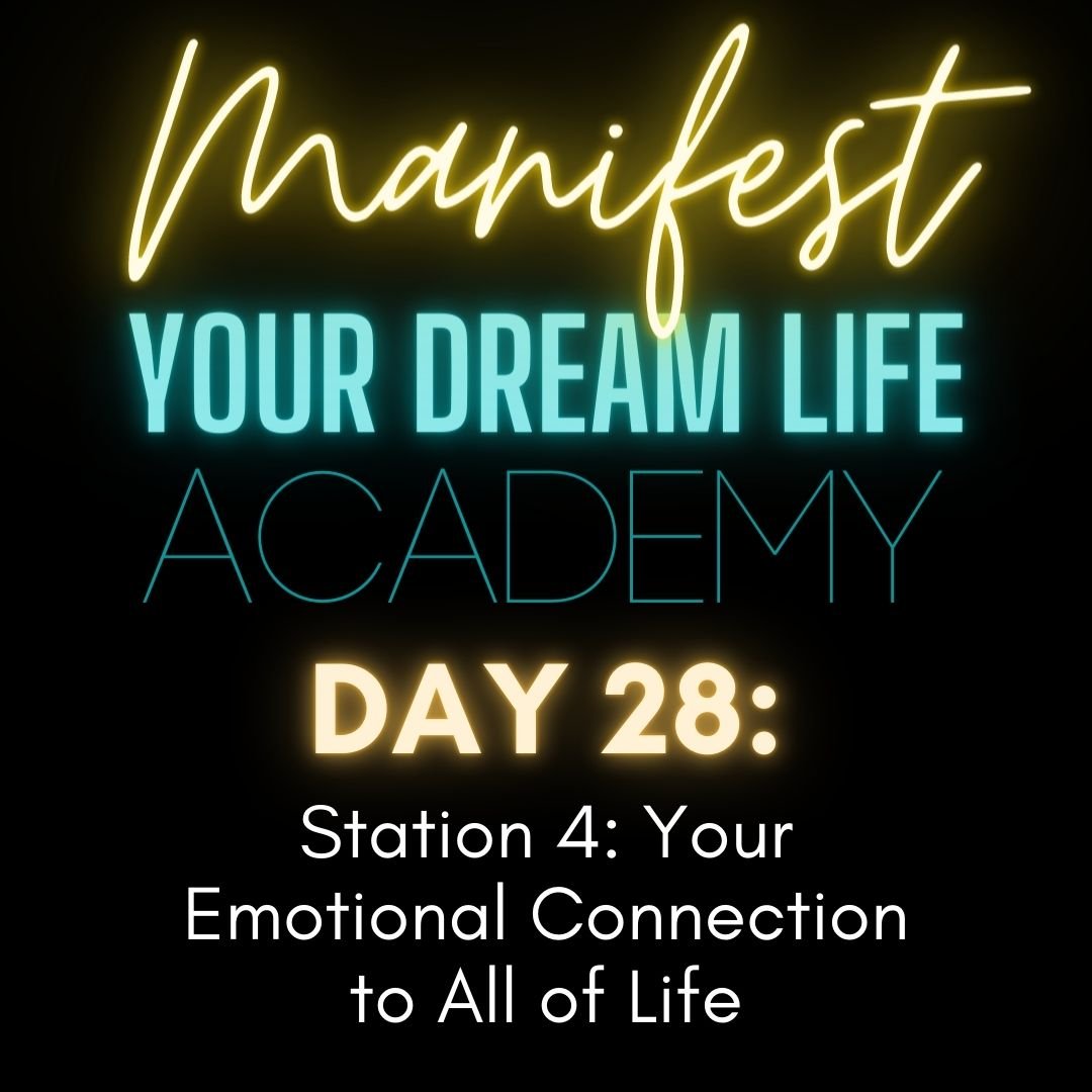 Day 28 - Station 4: Your Emotional Connection to All of Life