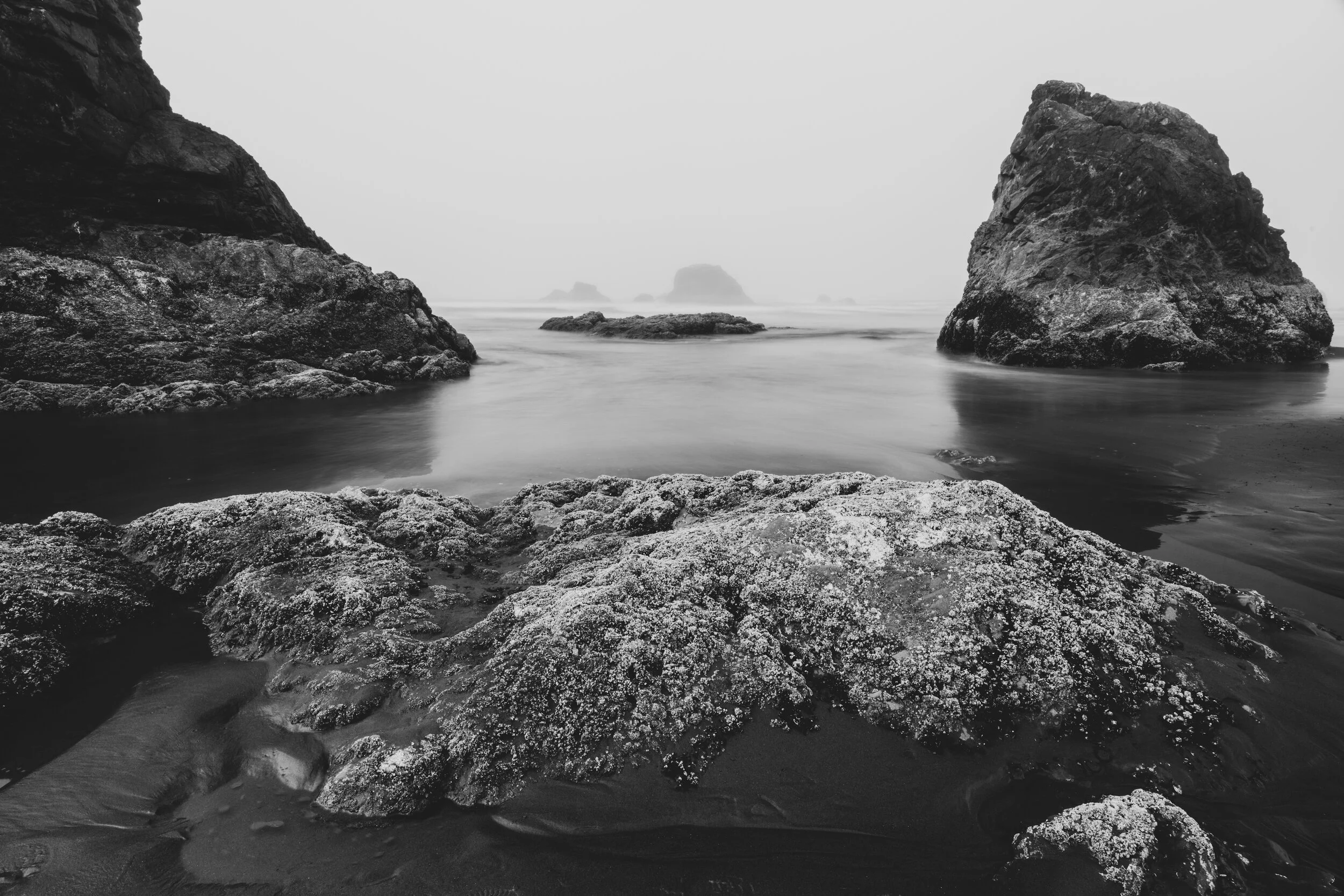 _DSC1209 copy.jpg