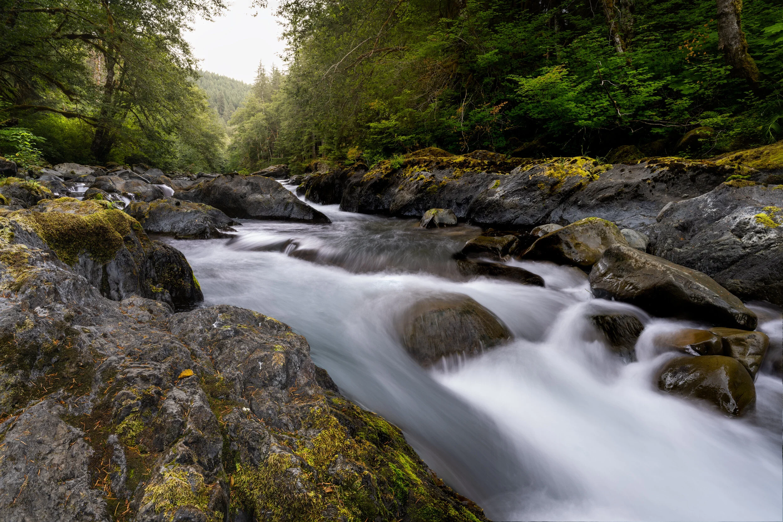 salmoncascades copy.jpg