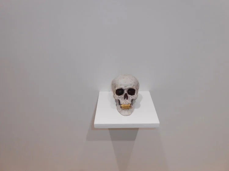 The world through Ana’s eyes II