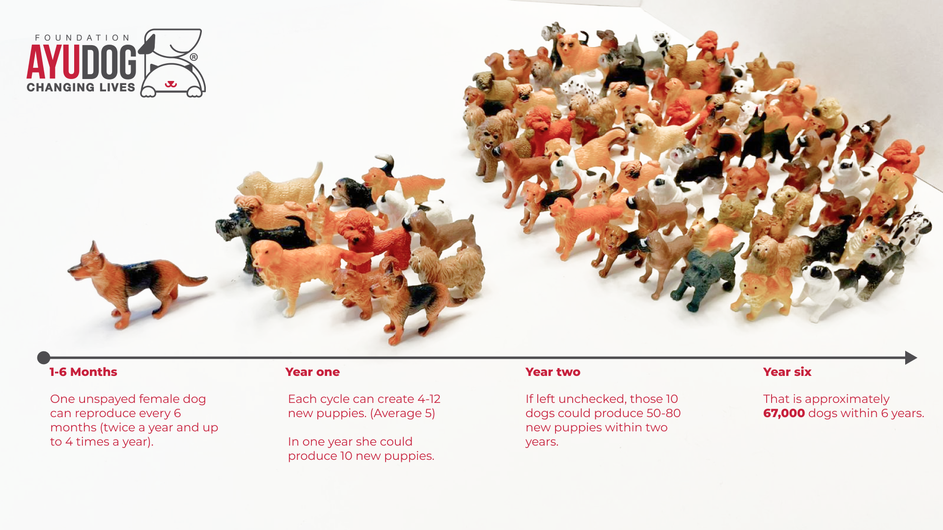 The image shows the visualization and scale of the problem created by not spaying and neutering dogs. On the left a single female plastic dog, in the middle 13 dogs born in the first year, on the right 80 plastic dogs  over 2 years