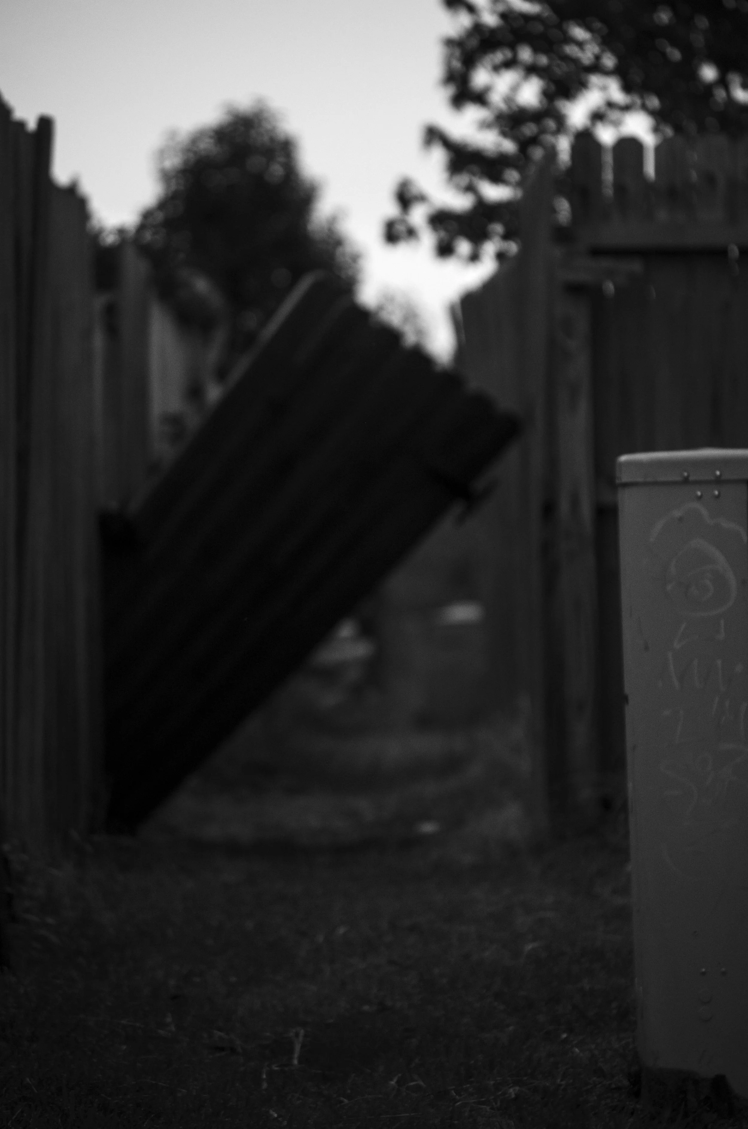 DSC_0037.jpg