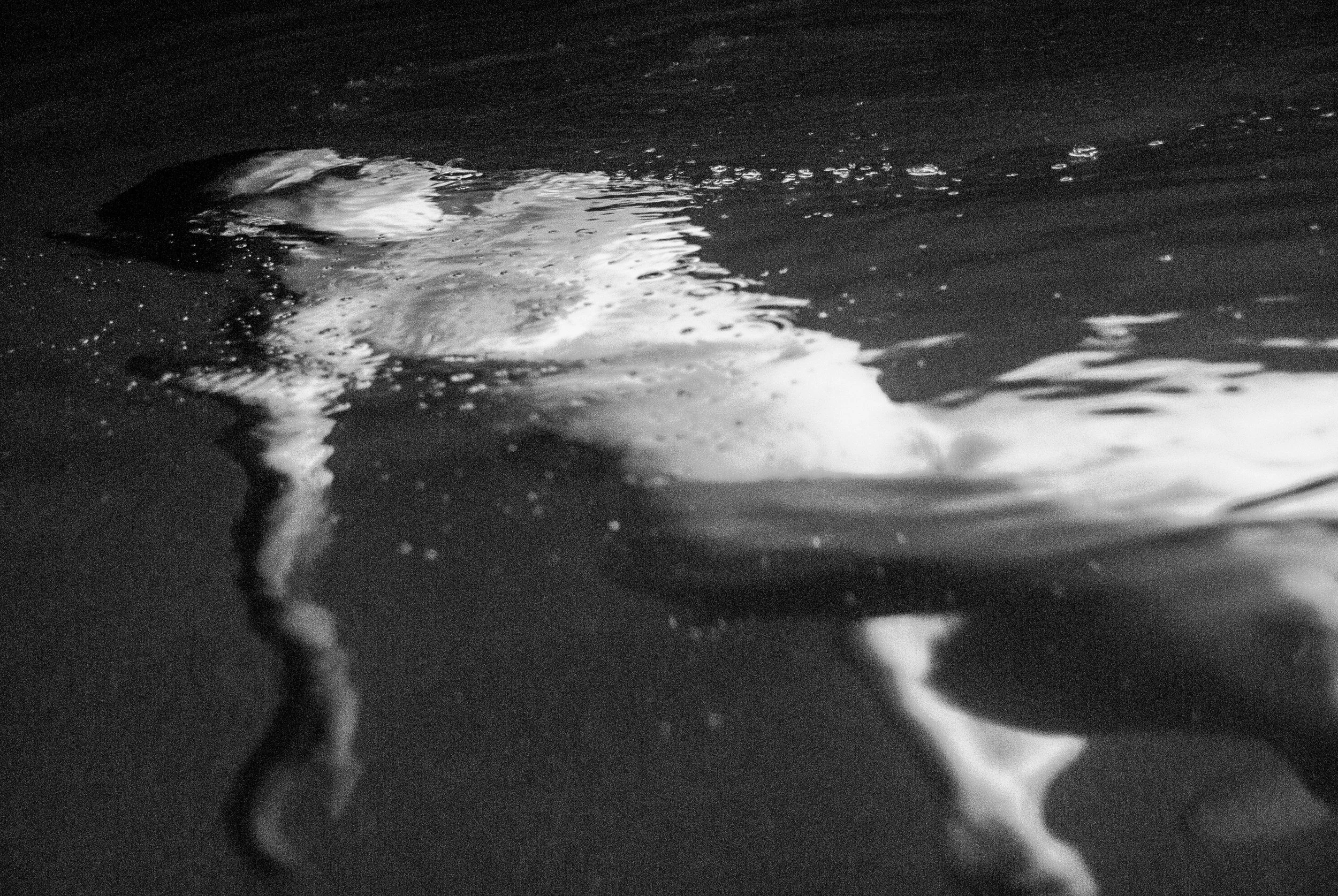 DSC_0043 copy.jpg