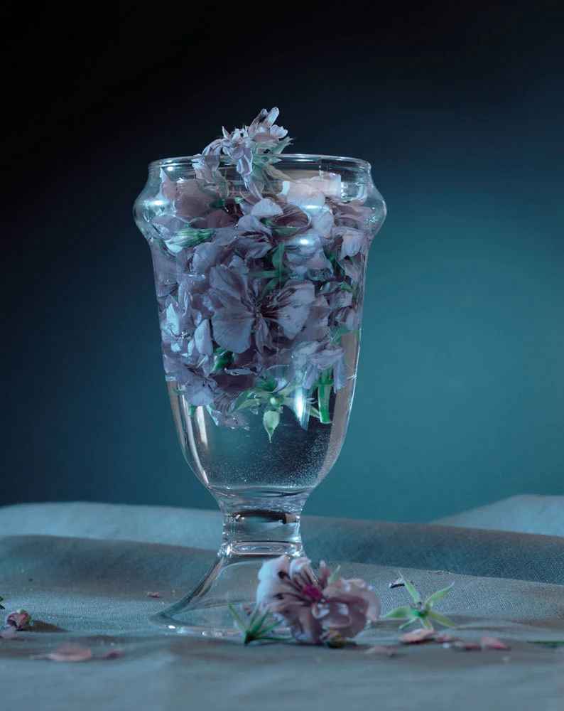 artdirection_geranium_1000px.jpg