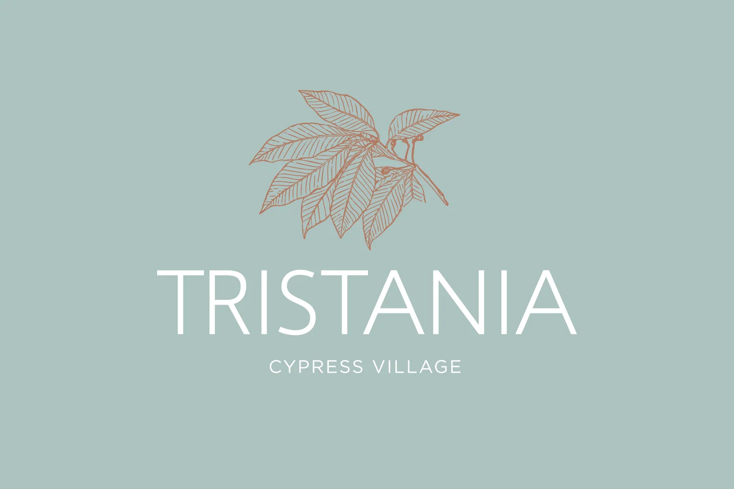 tristania.jpg
