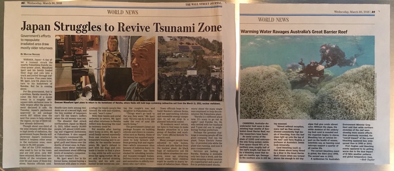 Solar in Japan with bleached coral reef.jpeg