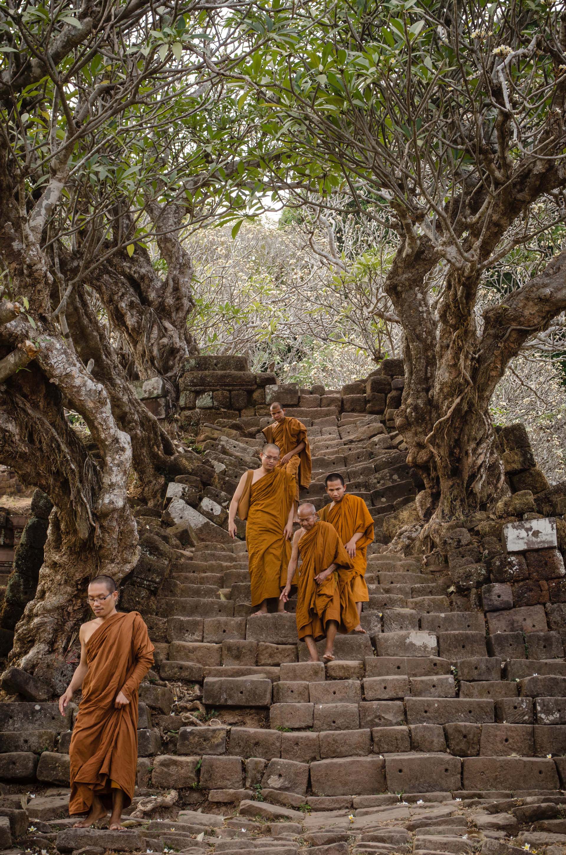 1st Place Amateur Category by Eric Camm