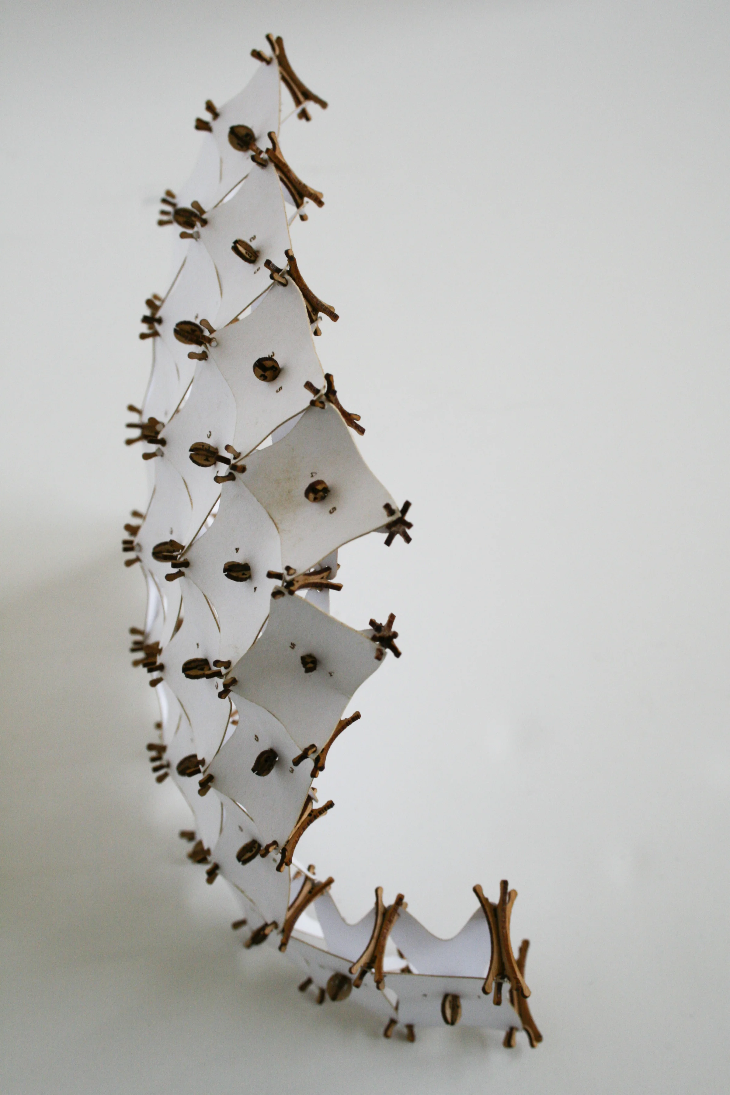 JeffWelch_Phase3_StudyModel_031309_0334_1.jpg