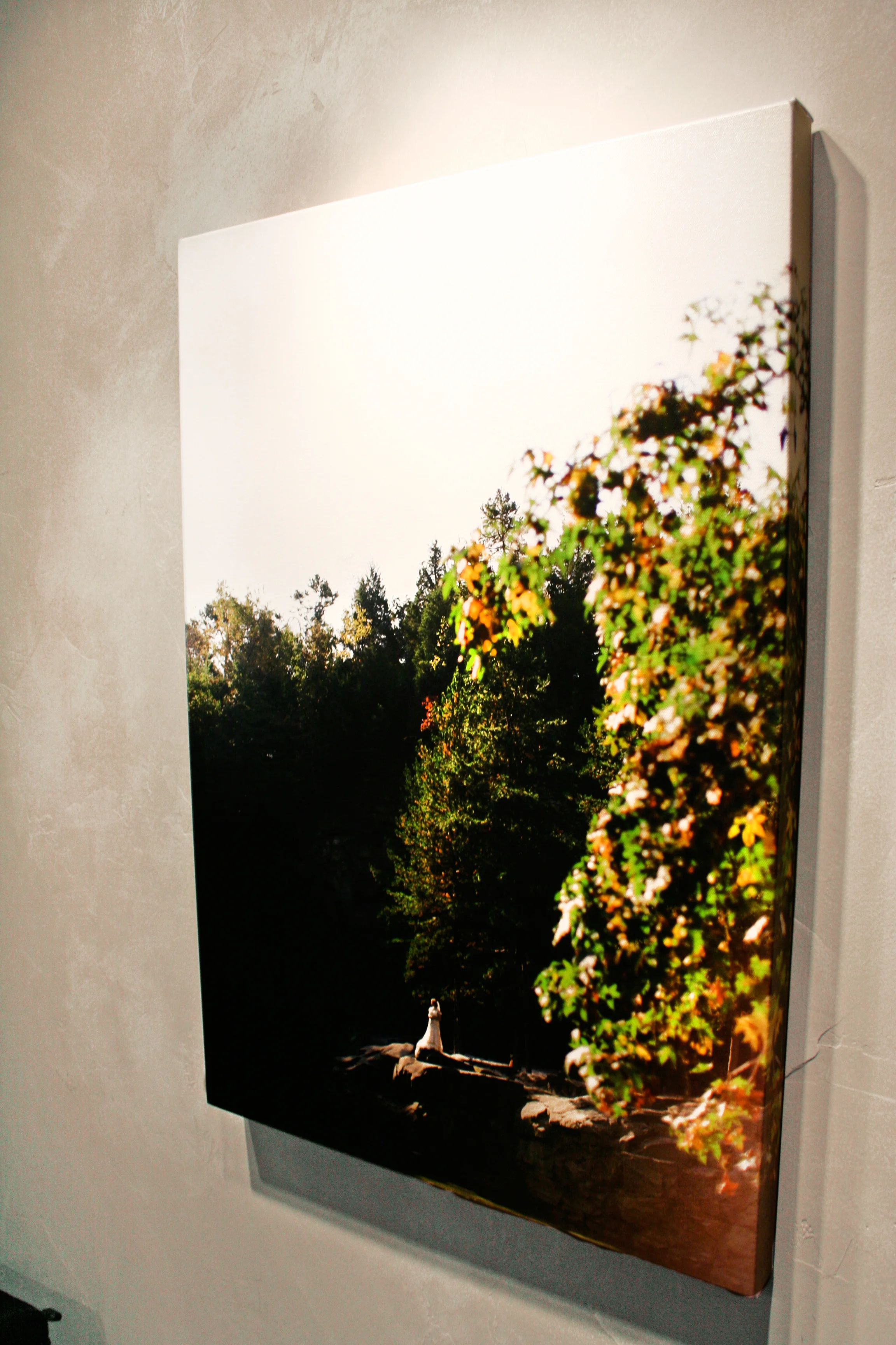 canvas4.jpg