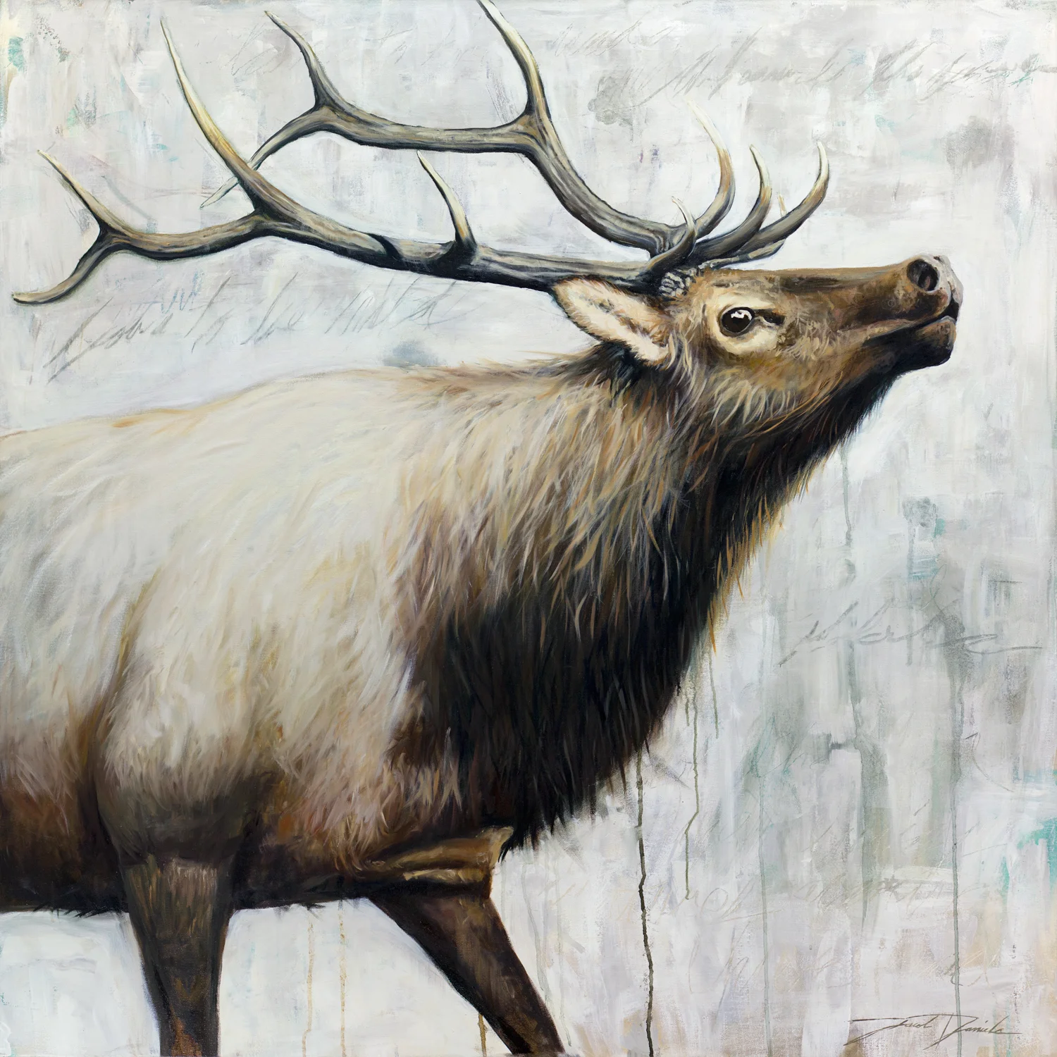 "The Bellowing" 36"x36" oil on canvas SOLD