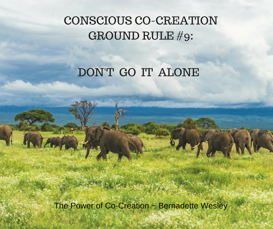 CONSCIOUS CO-CREATIONGROUND RULE #9_.png