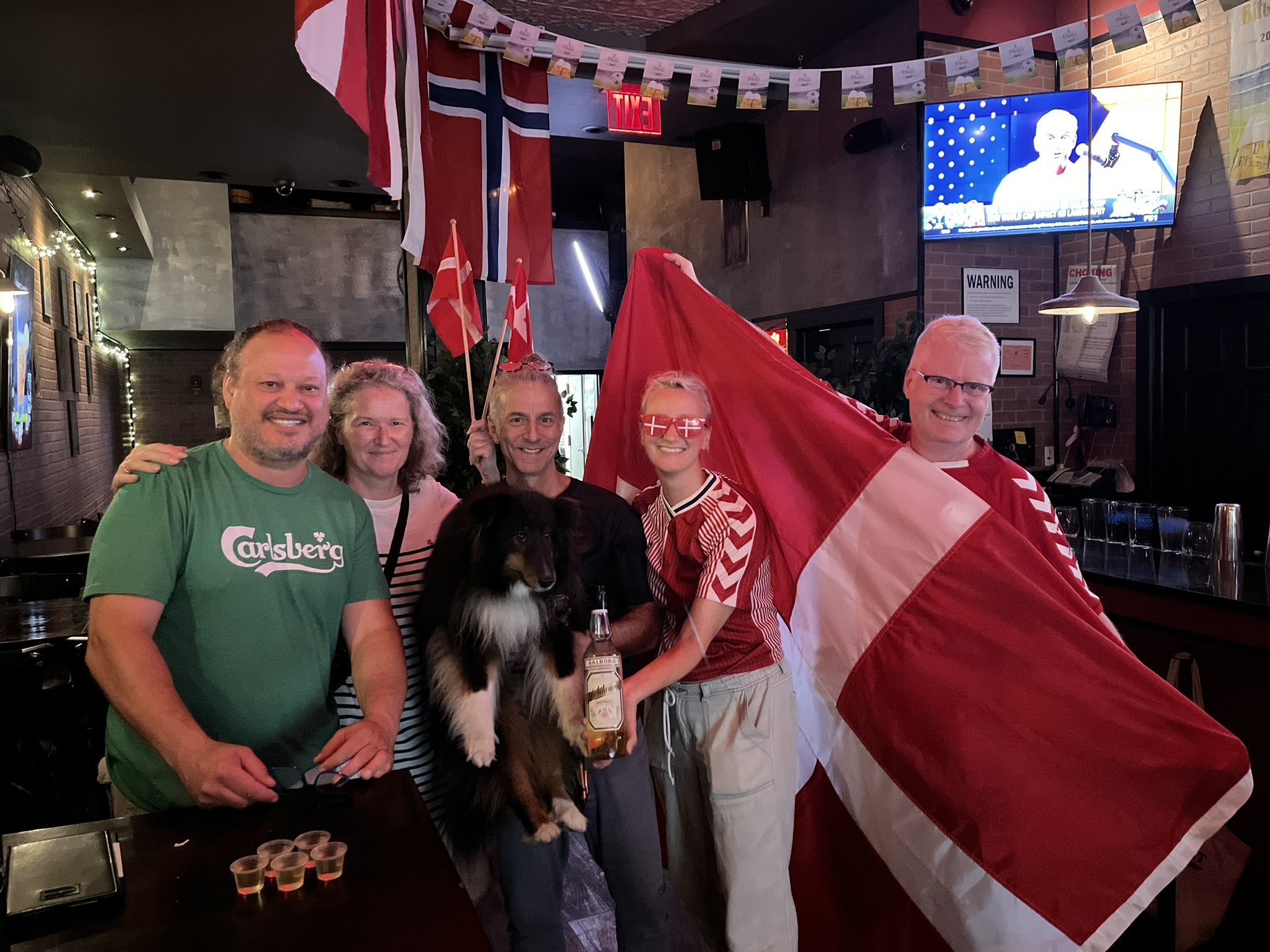 2024/25 Nations League Finals : Portugal vs. Denmark