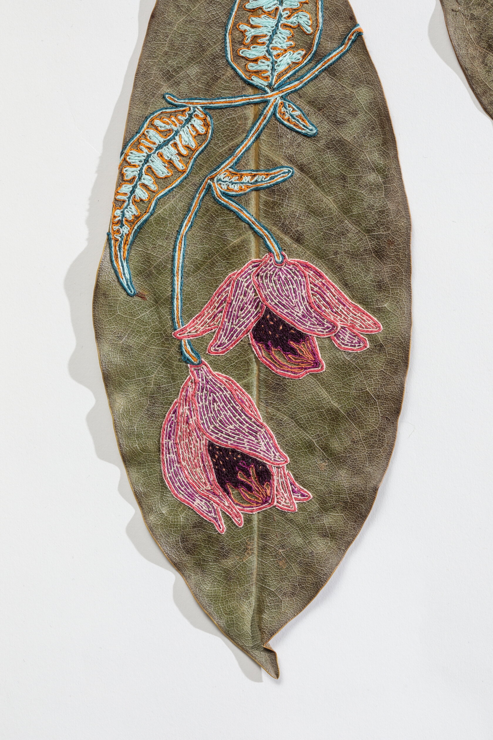 Blooms for Better Days.JPG