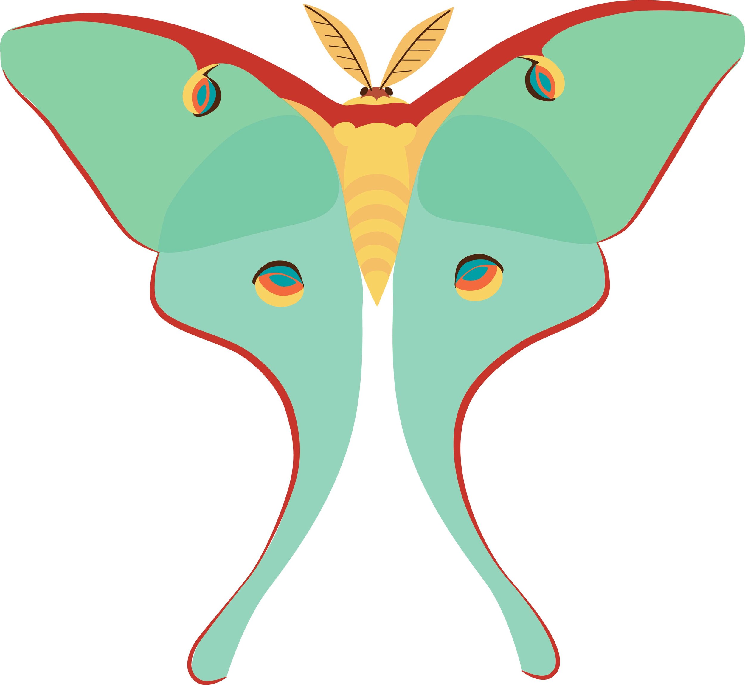 Luna moth.jpg