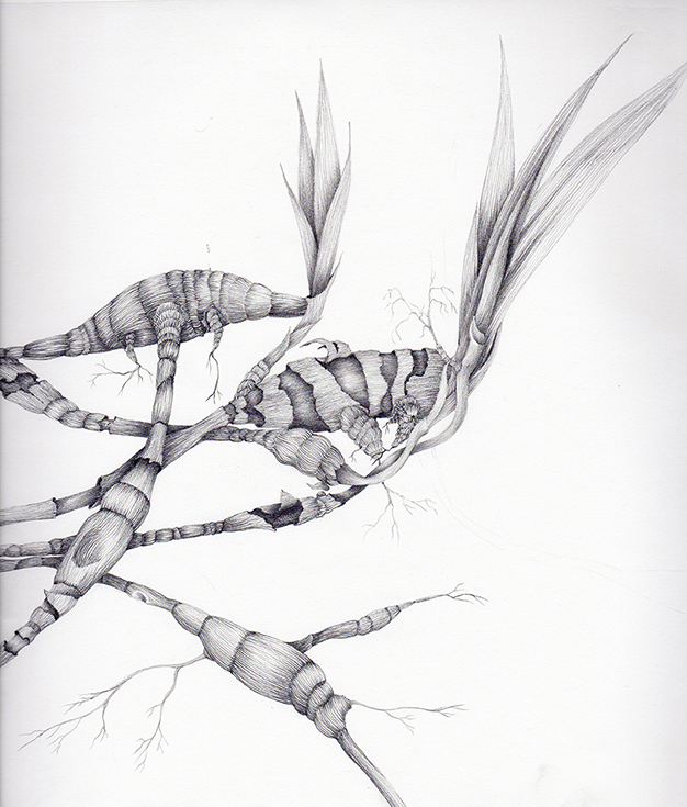 Rhizomes ii in progress182 copy.jpg
