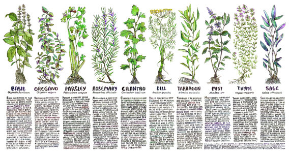 Poster by Chelsea Granger. Available on Etsy.