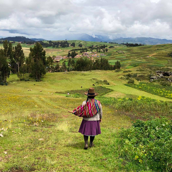 Molly was foraging this morning for dye plants 🌈✨ (at Chinchero, Cusco, Peru)