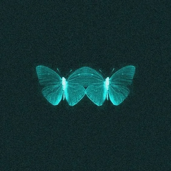 glowing twin moths.jpg
