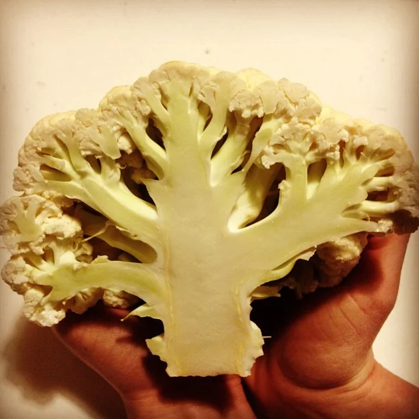 Fractals in Slate’s hands