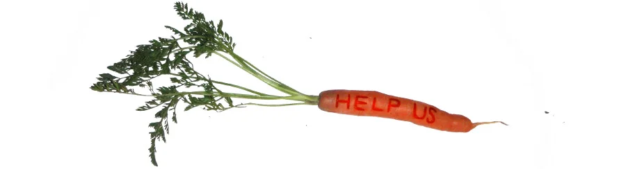 01_carrot.jpg